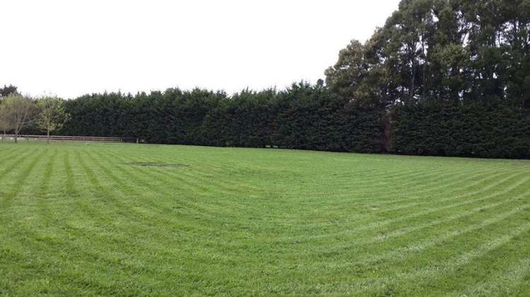 10a Brighton Grove Newstead_0