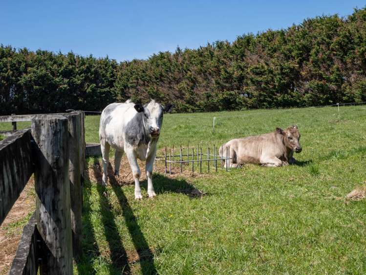 4 Wallis Road Kaikohe_32