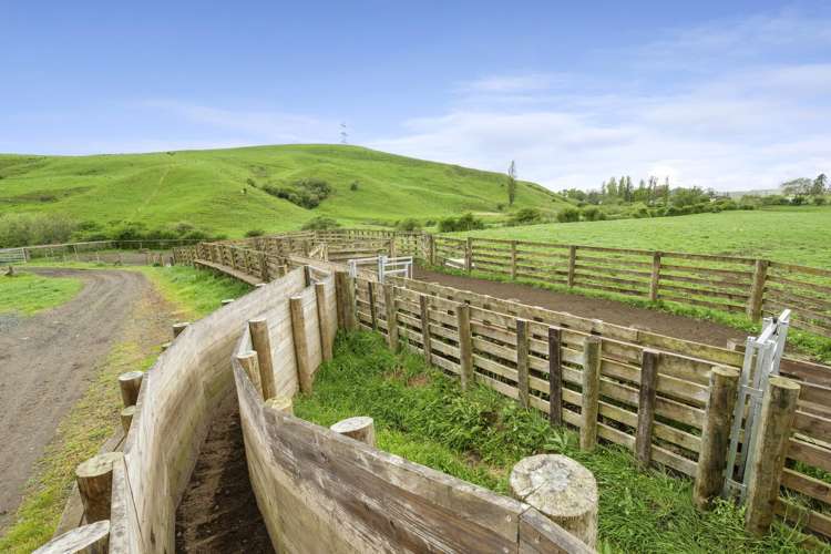 637 to 897 Tahuroa Road Morrinsville_12