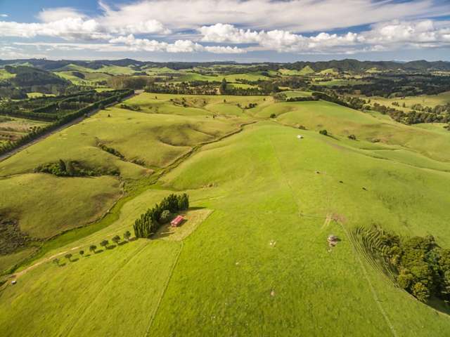 404 Old Bay Road Kerikeri Surrounds_2