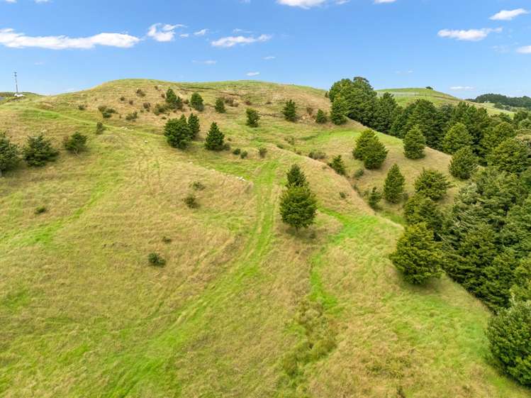 Hayward Road Maungakaramea_3