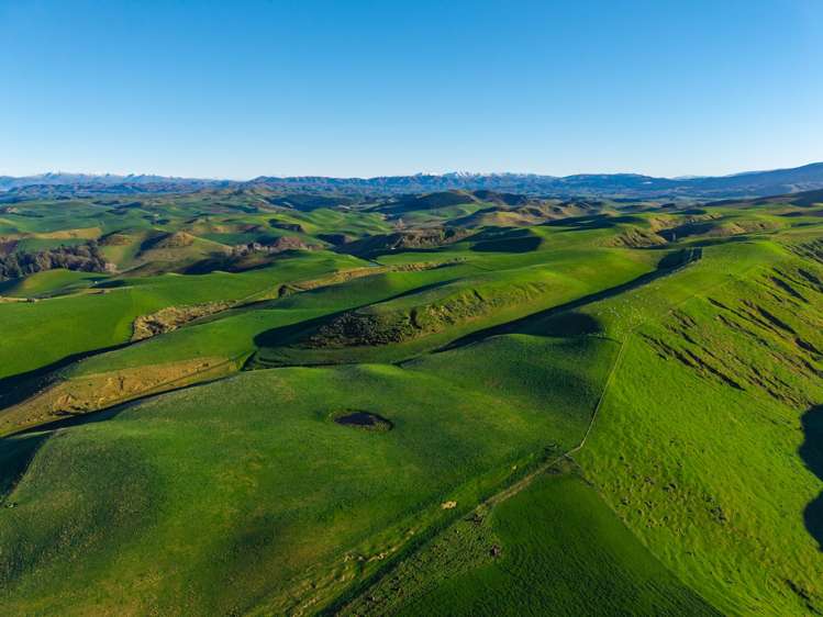 463 Dog Kennel Road Waimate_32