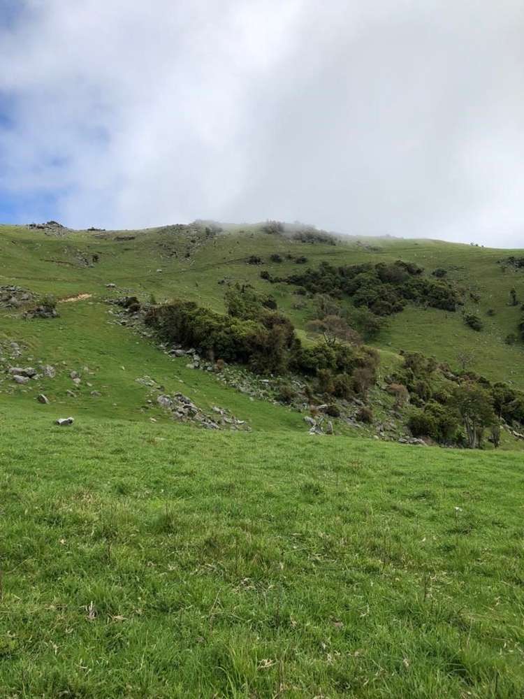 4990 Christchurch Akaroa Road Little River_16