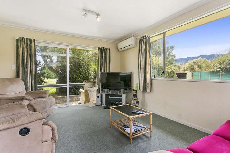 3547 State Highway 29 Te Poi_2