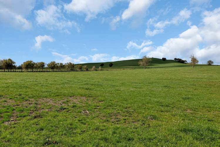 Lots 1 - 3 Draffin Road Poroti_12