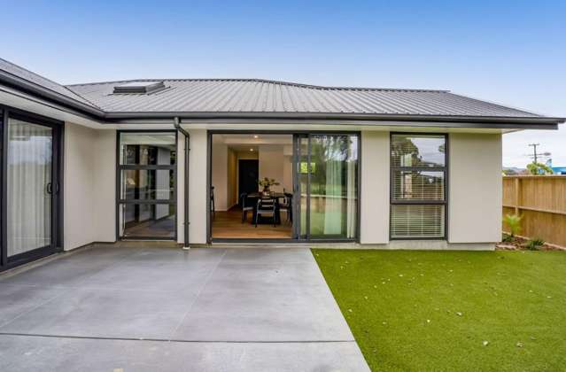 227a Tukapa Street Westown_1