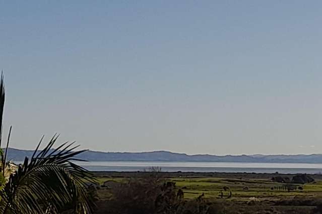 107 Bowen Place Thames_1