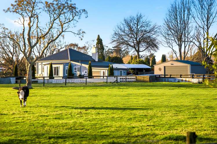 17c Lissette Road Newstead_26
