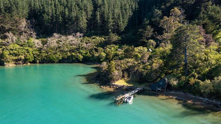 Little Nikau Bay Kenepuru Sound_35