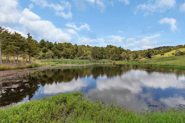 123 Homackey Road Matakohe_3