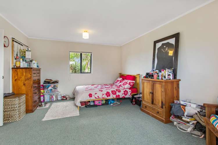22 Reid Road New Lynn_9