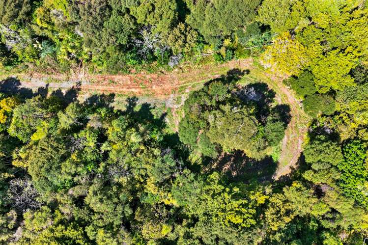 495 Rahuikiri Road Leigh_14