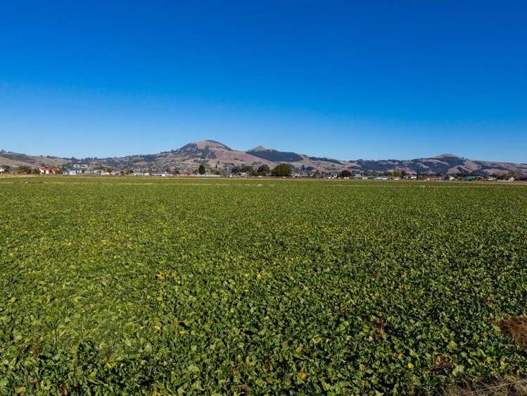 257 Gordon Road Mosgiel_11