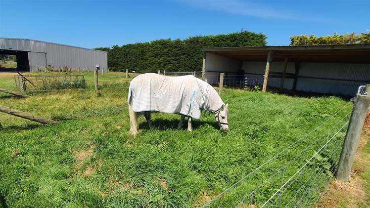 1281 Waimate Highway Otaio_15