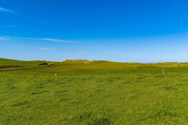559 Mahuta Road Dargaville_20