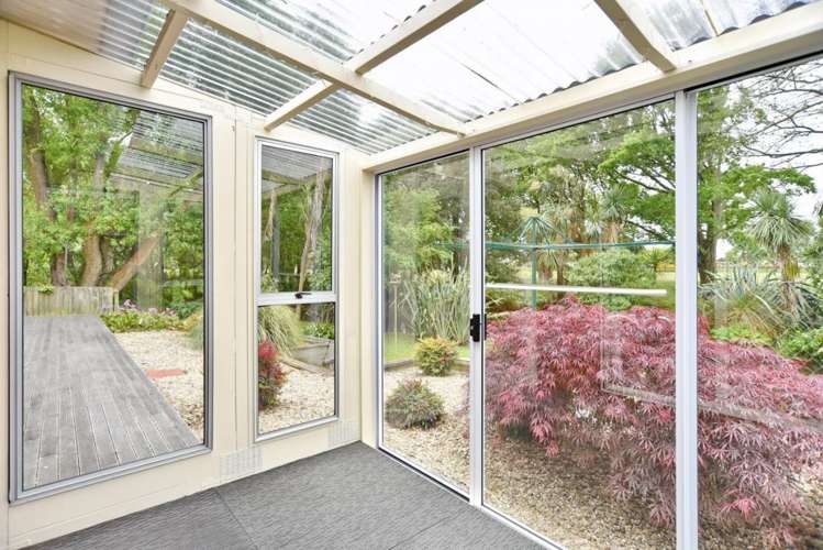 5 Penny Lane Hoon Hay_16