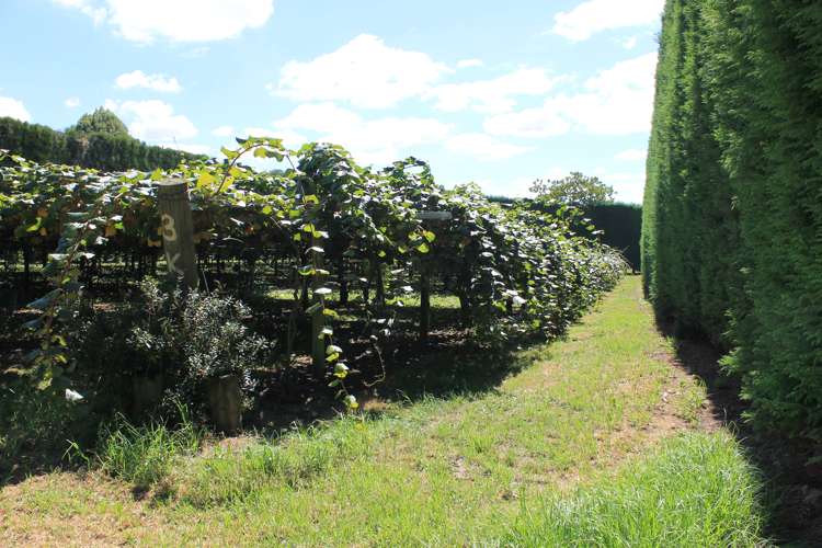 162 Pukeatua Road Maungatapere_5