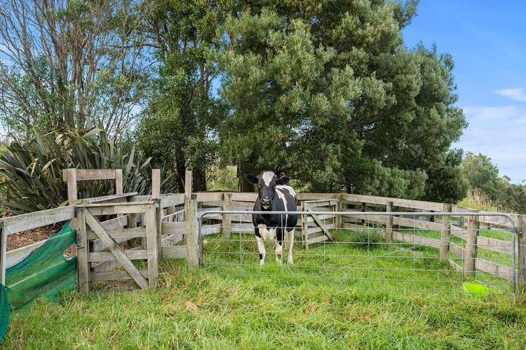 747 Three Mile Bush Road Ruatangata West_31