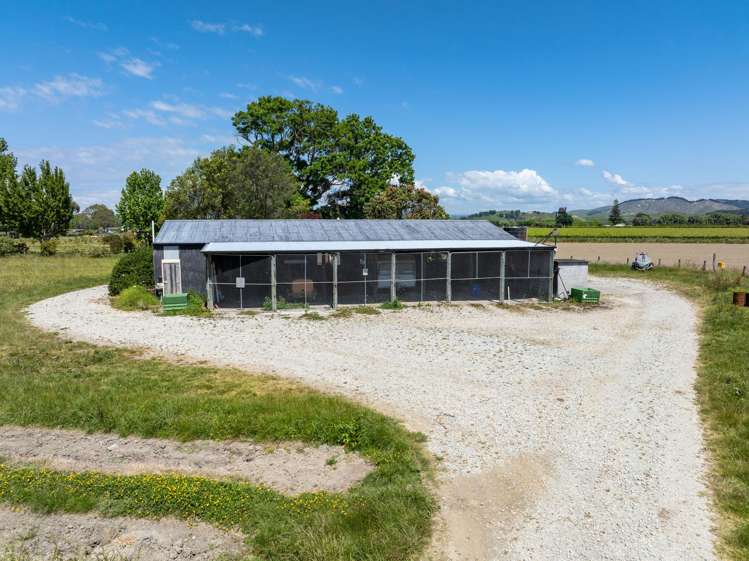 Whitmore Road Ormond_17