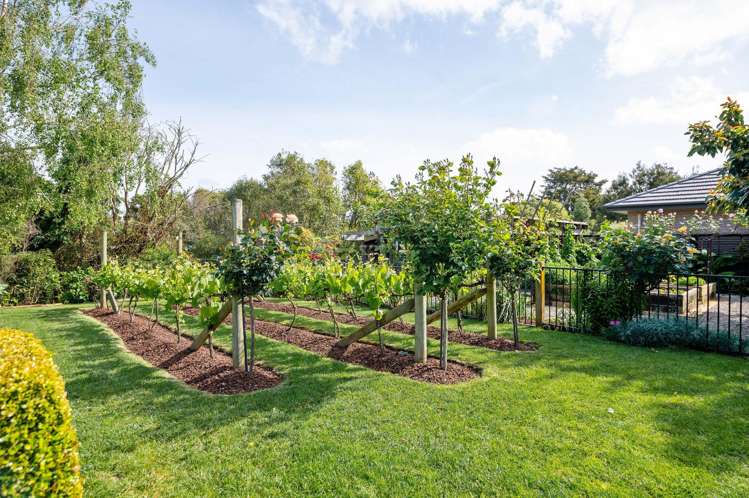 33 Haswell Place Huntington_39