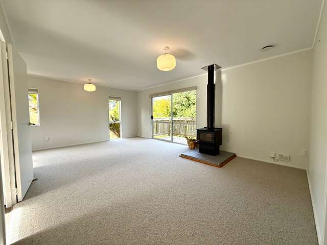 7B Rose Street Raglan_1
