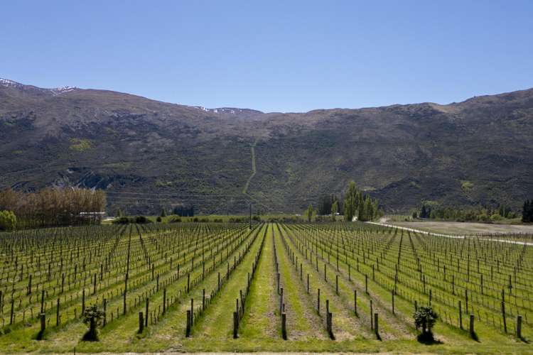 Lot 1/172 Gibbston Back Road Gibbston_5