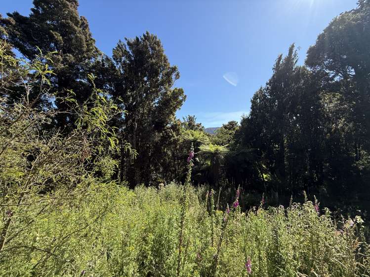 Harrington Mill Road Tahakopa_0