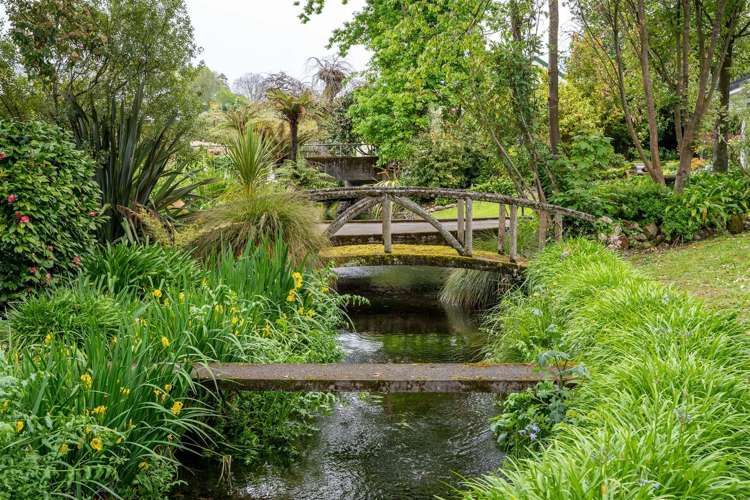 30 Essex Street Masterton_7