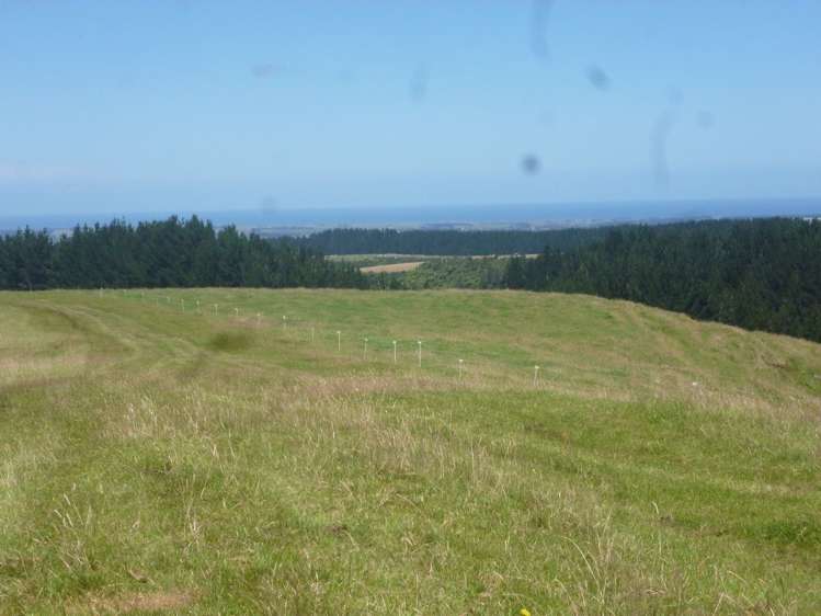 258 Okahutiria Road Waverley_21