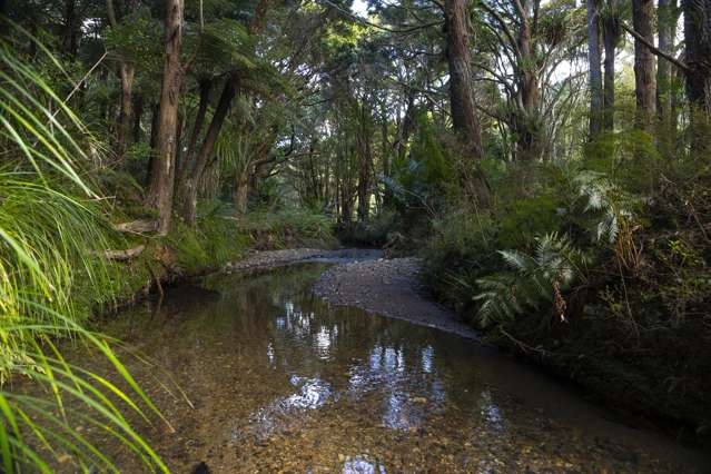 723B Whangarei Heads Road Parua Bay_2
