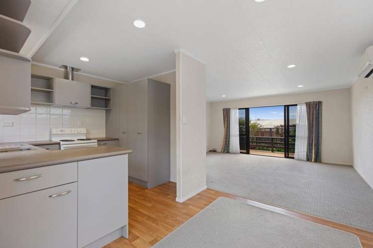 40A Princess Road Bellevue_10