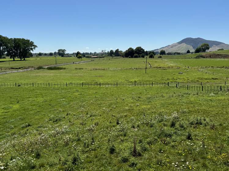 28 Cannon Road Otorohanga_14