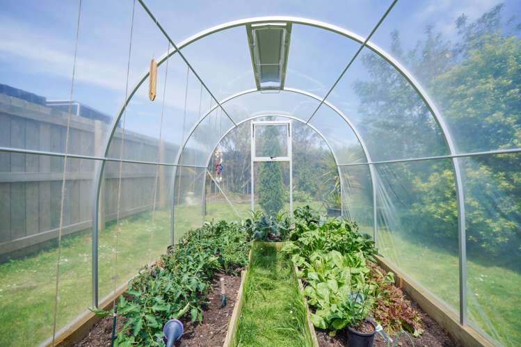 286 Conon Street Appleby_14