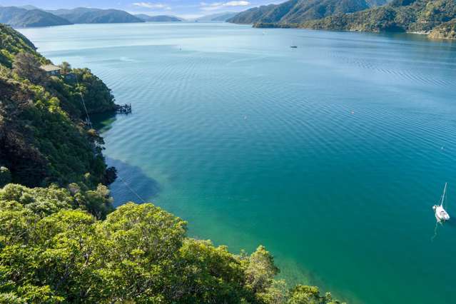 The Snout Waikawa Bay Picton_2