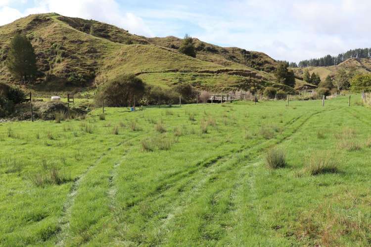 4869 Ohura Road Pohokura_22