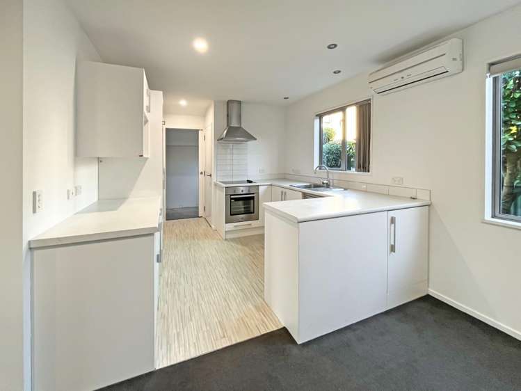 17 Antrim Street Sydenham_1