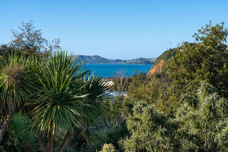 5 & 6 Kohi Place Port Chalmers_31