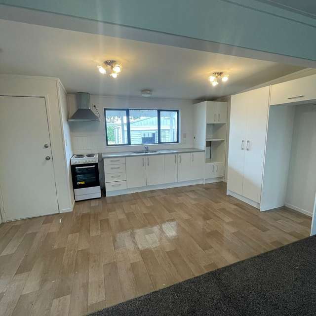 44 Birdwood Road Pukekohe_1