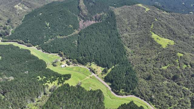 Puhata Road Herekino_2