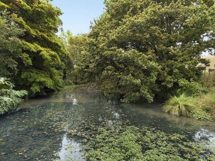 214a Kaipo Flats Road Onewhero_8