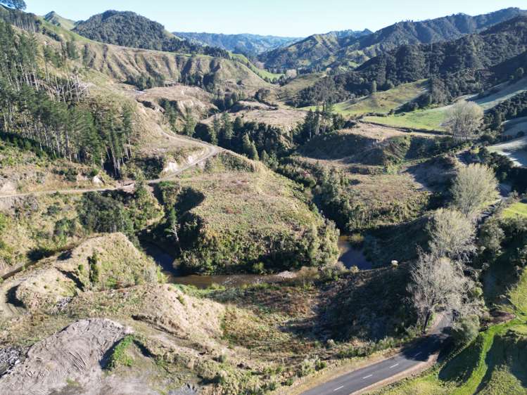 Cnr Whanganui River Road and Otunui South Road Taumarunui_2