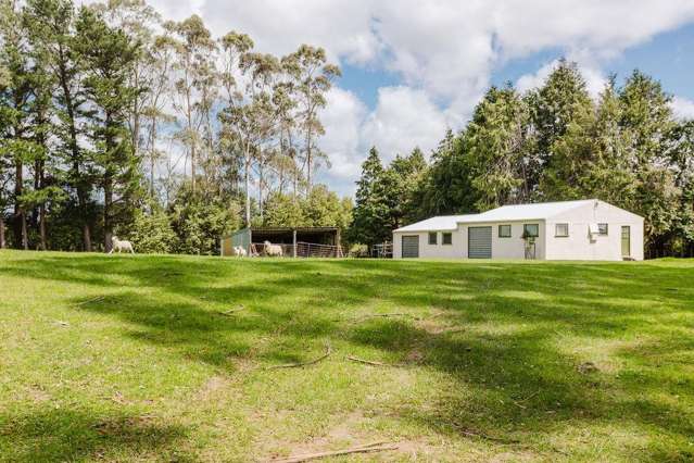 35 Third Line Norsewood_1