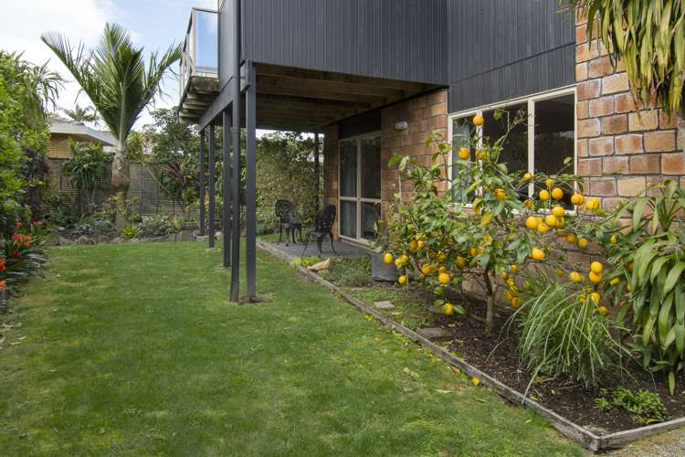 3 Myrtle Drive Omokoroa_15