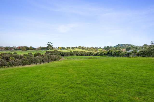 Flat hectare in heart of Dairy Flat