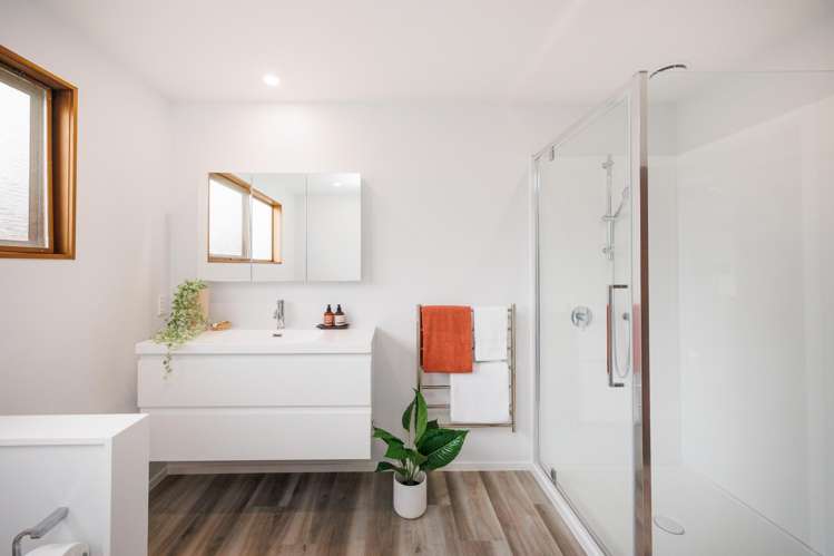 47 Dittmer Drive Awapuni_21