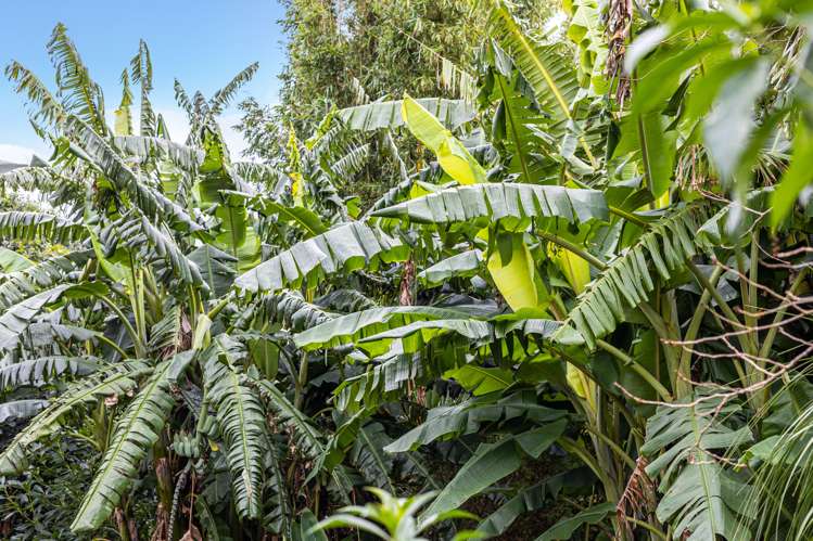 3/7 Everest Street Devonport_7