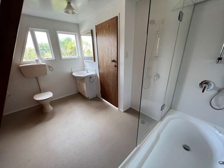 4 Log Race Road Piha_8