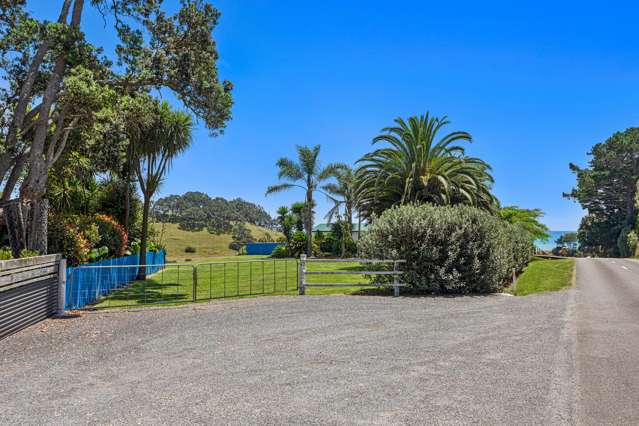 28 Tirohanga Road Opotiki Coastal_2