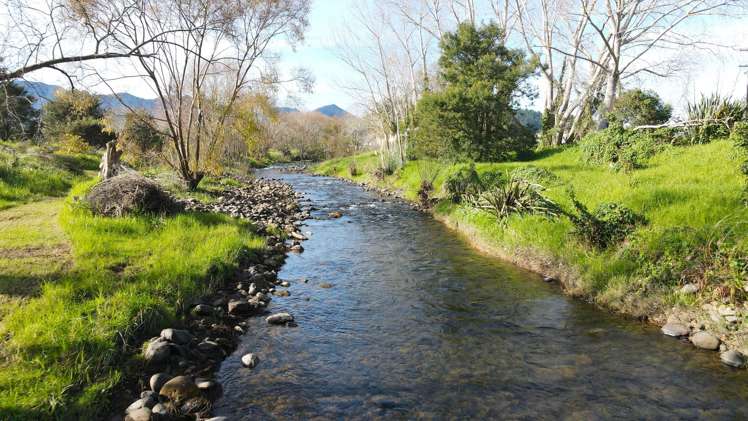 18 Neavesville Road Puriri_10