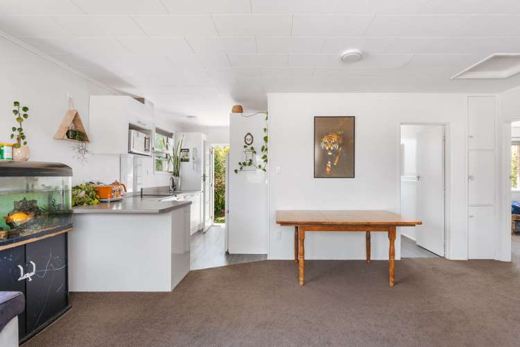 1/143 Douglas Street Whakatane_4